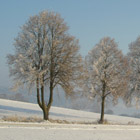 Winterlandschaft